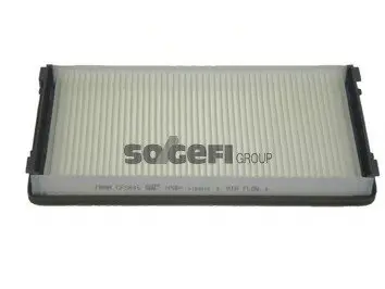 Фильтр салона FILTER CABIN AIR FRM BAG FRAM CF5846