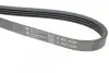 Ремінь генератора Suzuki Grand Vitara 2.5 V6/2.7 4x4 98-03 1020 K 4 HUTCHINSON 1020K4 (фото 4)