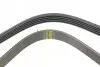 Ремінь генератора Fiat Palio 1.2 97-/Land Rover Freelander 1.8i 98-06 1188 K 5 HUTCHINSON 1188K5 (фото 3)