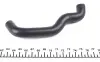 Патрубок насосу вакуумного Ford Connect 1.8 TDI-TDCi 02- DP DP GROUP BS 8148 (фото 2)