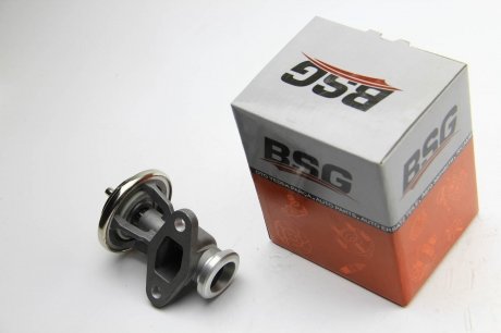 Клапан EGR Sprinter OM602 95-00/Vito (638) OM601 96-99 BSG BSG 60-836-001 (фото 1)