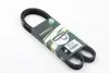 Ремінь генератора Kangoo 1.4i 98> /1.6i 02> (-AC) BGA 5PK1110 (фото 3)