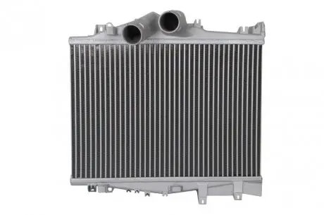 Інтеркулер THERMOTEC DAME006TT