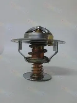 Термостат THERMOTEC D2CA002TT