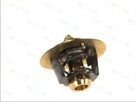 Термостат THERMOTEC D2DA002TT