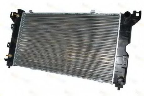 Радиатор THERMOTEC D7Y003TT (фото 1)