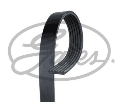 Ремінь GATES 6PK2576