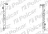 Радиаторы охлаждения POLCAR 603308-1 (фото 1)
