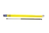 Амортизатор кришки багажника Hyundai Matrix 01-10 MAGNETI MARELLI 430719060700 (фото 1)