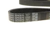 Комплект ремня DAYCO KPV333 (фото 5)