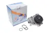 Помпа води MB C-class (W204)/E-class (W212)/S-class (W221)/Vito (W447) OM651 08- (з корпусом/перемикач) GRAF PA1219 (фото 2)
