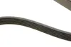 Ремінь генератора Infiniti FX/M45/Lexus GS/Mitsubishi Outlander 1.8-4.5 93- 1940 K 6 HUTCHINSON 1940K6 (фото 3)
