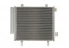 Радиатор кондиционера THERMOTEC KTT110300 (фото 1)