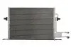Радіатор кондиціонера THERMOTEC KTT110170 (фото 1)