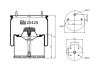 Пневмоподушка BILSTEIN FEBI 20425 (фото 1)