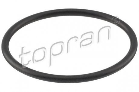 Прокладка термостата TOPRAN 113 303 (фото 1)