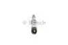 Форсунка топливная BOSCH 0 445 120 044 (фото 2)
