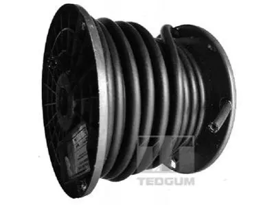 Топливный шланг TEDGUM 00813184