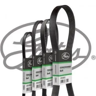 Дорожный пас GATES CB0005
