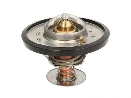 Термостат THERMOTEC D2CA001TT