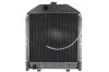 Радиатор THERMOTEC D7AG042TT (фото 1)