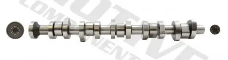 Распредвал, 2.5TDI (BNZ/BPC) 03-10 MOTIVE T069S