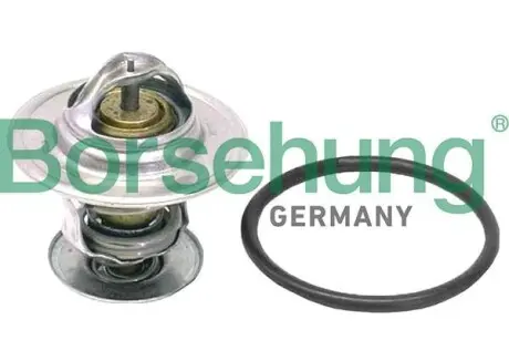 Термостат 71℃ BORSEHUNG B18262