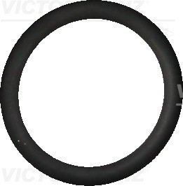 Уплотнительное кольцо VICTOR REINZ 40-76325-10 (фото 1)