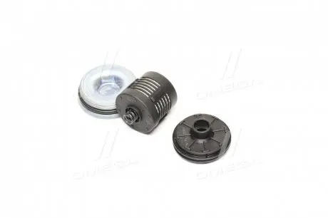 Фільтр АКПП BORGWARNER DS120456