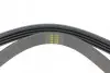 Ремінь генератора Mazda 323 F 1.6i 87-94 1015 K 4 HUTCHINSON 1015K4 (фото 3)