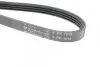 Ремінь генератора Mazda 323 F 1.6i 87-94 1015 K 4 HUTCHINSON 1015K4 (фото 4)