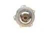 Помпа воды Audi A4/A6/Skoda Felicia/VW Golf/Caddy/Passat/Polo 1.9D/TDI/SDI 95- (R/B)(6лоп) BUGATTI PA5108 (фото 2)
