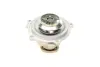 Помпа воды Audi A4/A6/Skoda Felicia/VW Golf/Caddy/Passat/Polo 1.9D/TDI/SDI 95- (R/B)(6лоп) BUGATTI PA5108 (фото 3)
