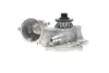 Помпа води BMW (E53) X5 4.4i/4.8is/5 (E60-61) 545i/6 (E63-64) 645ci/7 (E65-67) 01-10 (R/B) (8 лоп.) BUGATTI PA10206 (фото 8)