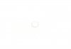Кронштейн форсунки в комплекте с кольцами MERCEDES-BENZ 1770720000 (фото 4)
