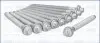 Болты головки, 1.9D/2.0i 94-06 (к-кт.) AJUSA 81028600 (фото 1)