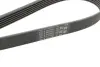Комплект ременя генератора + помпа Audi A1/A3/Seat Ibiza/Skoda Octavia 1.4/1.6 02- HEPU PK05810 (фото 3)