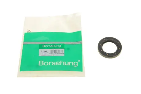 Манжетний защільнювач BORSEHUNG B12191