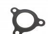 Комплект прокладок турбіни Fiat Doblo 1.3JTD/D 05-/Opel Combo 1.3 CDTI 12- DP GROUP 170063057 (фото 2)