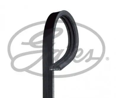 Дорожный пас GATES 3PK810SF