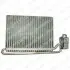 BMW Испаритель кондиционера 3/Е46 DELPHI TSP0525036 (фото 1)