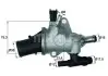 Термостат, охолоджуюча рідина MAHLE MAHLE\KNECHT TI 142 83 (фото 1)