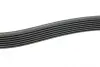 Ремінь генератора VW Golf/Passat 2.8 91-99 (7DPK1360) HUTCHINSON 1360 KDF 7 (фото 2)