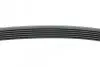 Ремінь генератора VW Golf/BMW/Ford/Opel (6PK1540) HUTCHINSON 1540 K 6 (фото 2)