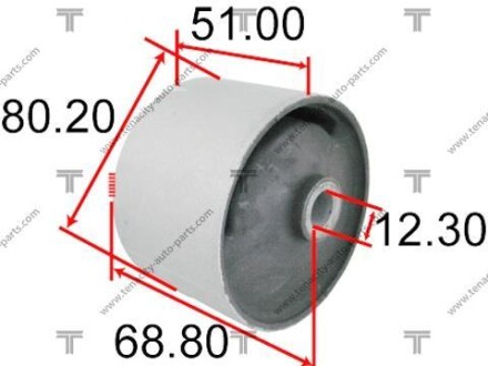 Опора двигуна toyota camry 3.0 at 91-96 TENACITY AWSTO1073 (фото 1)