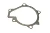 Помпа воды Hyundai ix35/Tucson/Santa Fe II/III/Kia Sportage/Sorento 2.0/2.2 CRDi 09- (R/B) (7 лоп) BUGATTI PA10181 (фото 8)