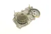 Помпа воды Renault 19 1.2/1.4 88-95/Clio/Rapid 1.2/1.4 90-98 (B/B) (8 лоп) BUGATTI PA10284 (фото 5)