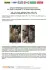 Помпа води Audi/Seat/Skoda/VW Crafter/Caddy/T6/Passat/Golf 1.6/2.0TDI 13- (R/B 4PT)(7 лоп)(з датч) GRAF PA1360A-8 (фото 2)