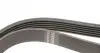 Ремінь генератора Audi A4 1.6-2.0 00-08 (6PK1570) HUTCHINSON 1570 K 6 (фото 3)
