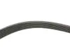 Комплект ременя генератора Opel Astra/Insignia 2.0 CDTI 08-17 (6PK1903) INA 529 0348 10 (фото 2)